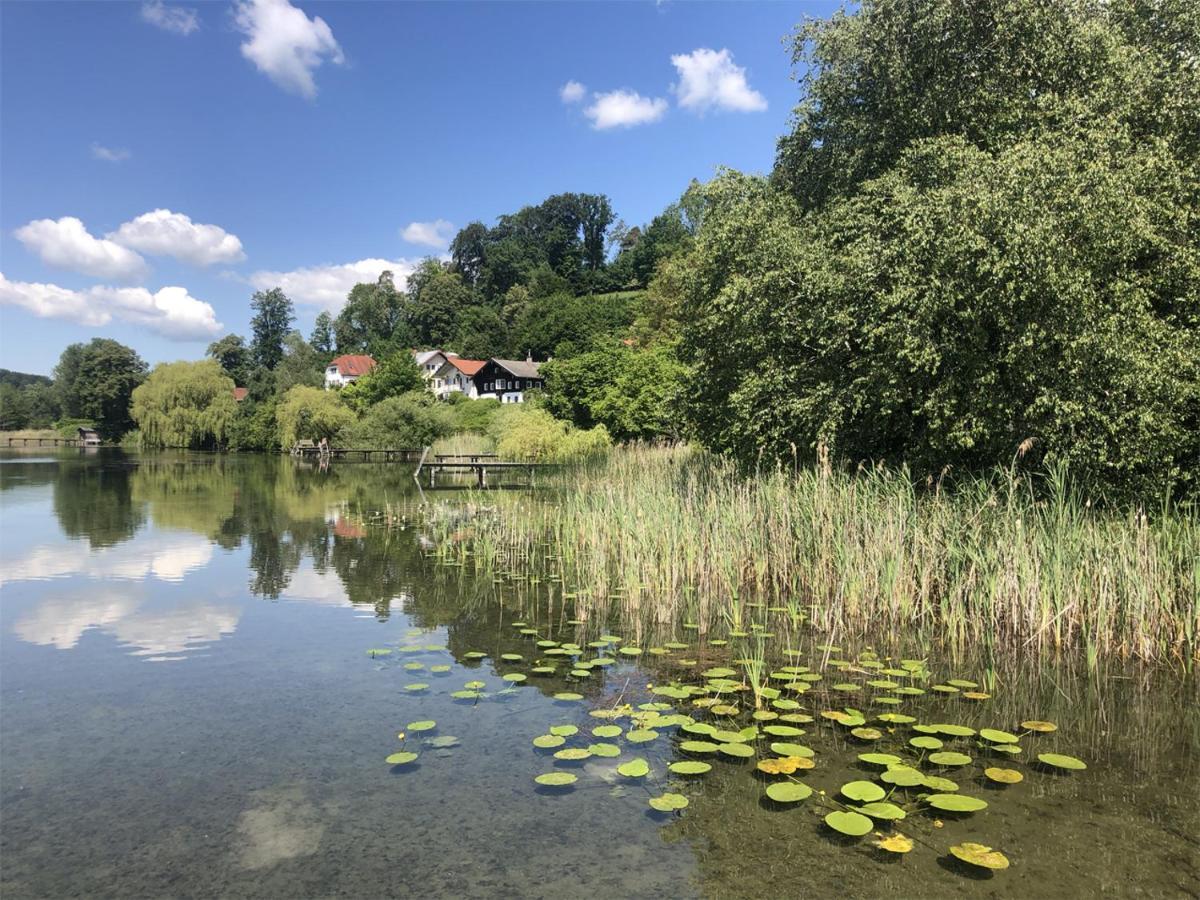 Seeblick Chiemgau, Haus Am Weinberg, 83370 Seeon Oberbayern Exteriör bild